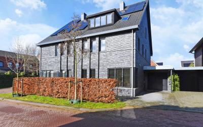 Schapendrie. 13