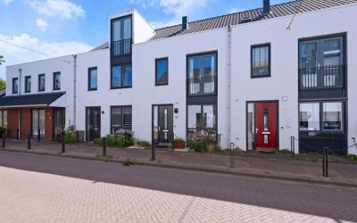 Schapendrie. 6