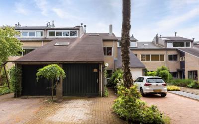 Parelduiker 40