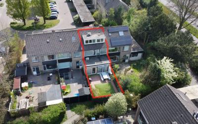 Bruinhorst 26