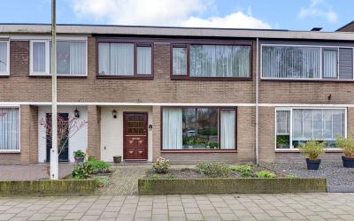 Van Maerlantlaan 8