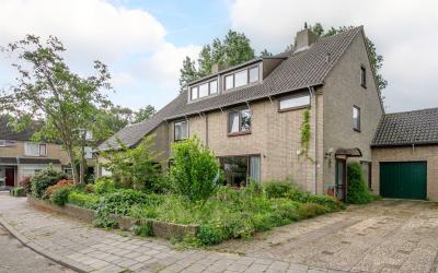 Mastmeen 29