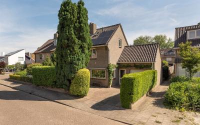 Mastmeen 18