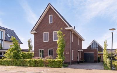 Paardenbloe. 28