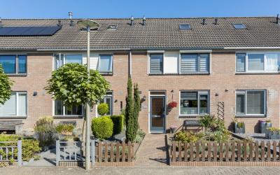 Hanekamp 19