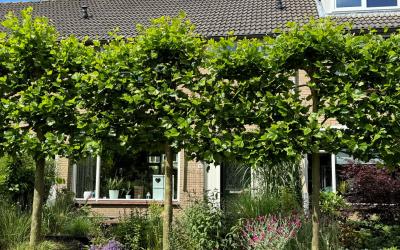 Retiefstraat 16