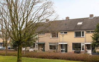 Steynlaan 115