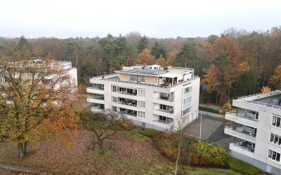 Constantijn. 39