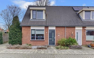 Korenbloem 11