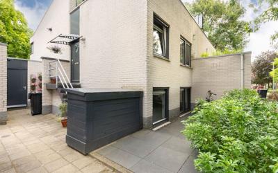 Rookland 24