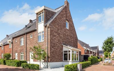 Goudreinet 1