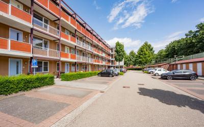 Meinsstraat 36