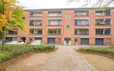 Wittenburg 15