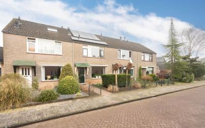 Aalscholver. 66