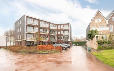 Rondel 12