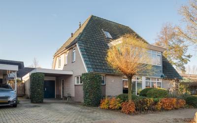 Boterbloem 18