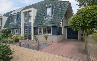 Gentiaan 1