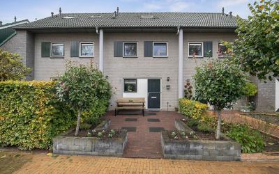 Gentiaan 51