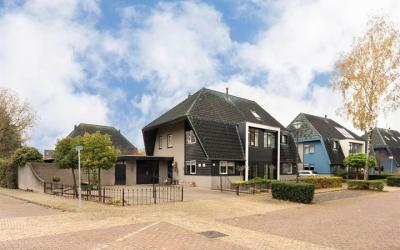 Gentiaan 30
