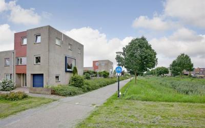 Schoener 20
