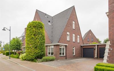 Kleine Vos 9