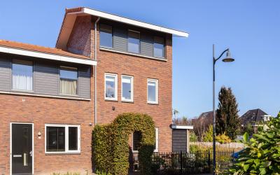 Tijgervlinder 14