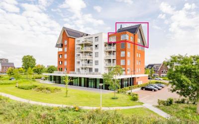 Zijdevlinder 214
