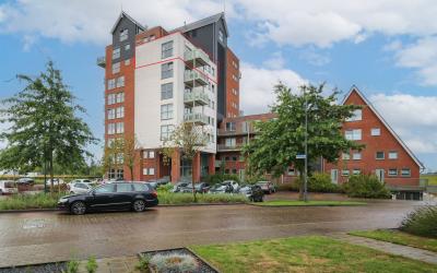 Zijdevlinder 70