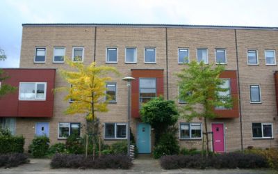 Gaffel 11