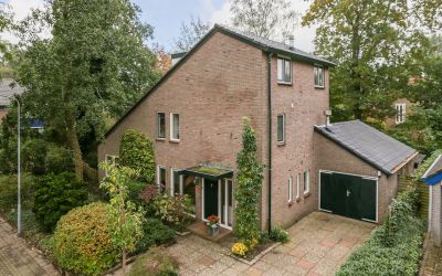 Ridderspoor 28