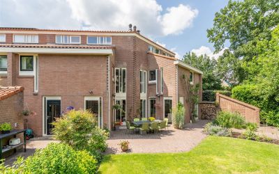 Bijenvlucht 20