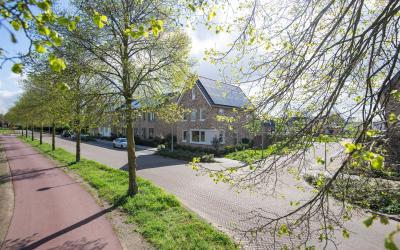 Mennestraat 61