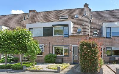Korenbloems. 39