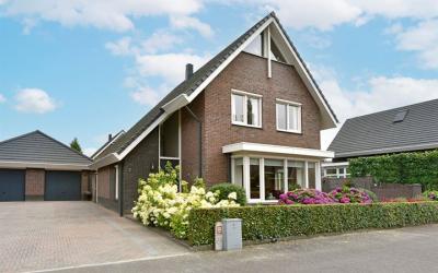 Bekestere 5