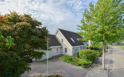 Zilverschoon 3