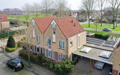 Goudhaver 71