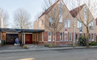 Goudhaver 77
