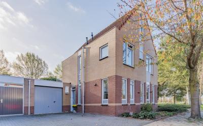 Goudhaver 85