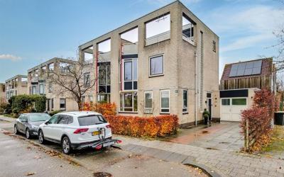 Goudhaver 42