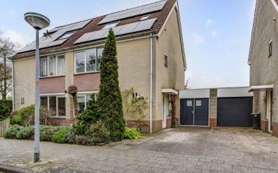 Vuurvlinder 3