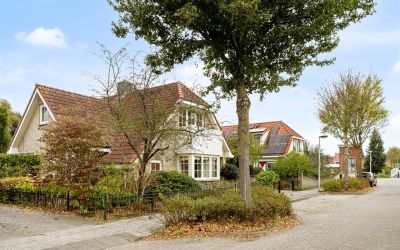 Grote Beer 83
