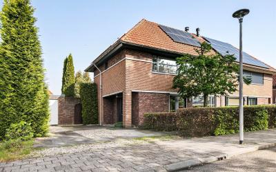 Distel 38