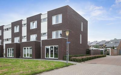 Berkenpad 25