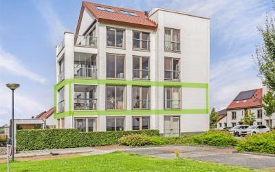 Elementen 80