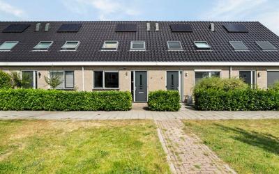 De Bente 46