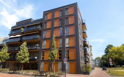 Coornhertpad 11