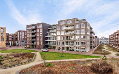 Coornhertpad 5