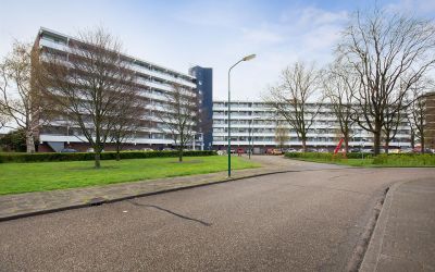 Pollux 97