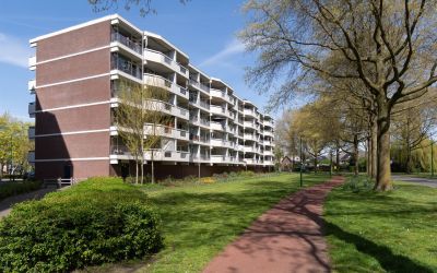 Pollux 151