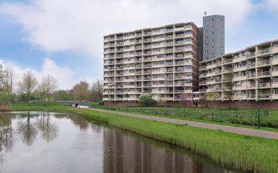 Zuiderkruis 262